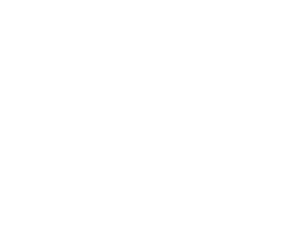 HINF S2 CIRC backdrop.png