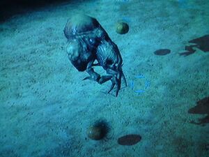 HW-Forme bombardier 02.jpg