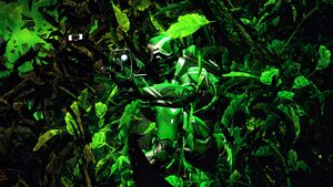 HB2013 n17-Daybreak8-Forest by DoMi7Vo.jpg