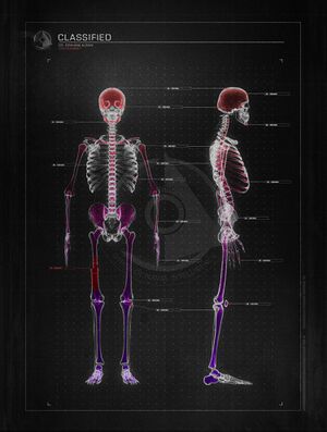 HTS Halsey Alban 1.jpg