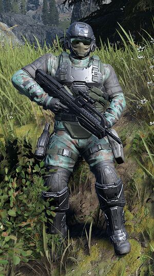 HINF Marine assaut lourd.jpg