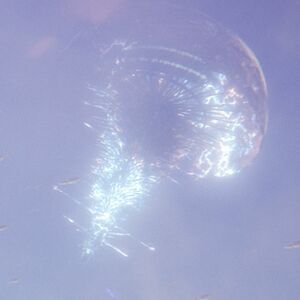 H2A-High Charity 04.jpg