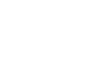 HINF Remembrance backdrop.png