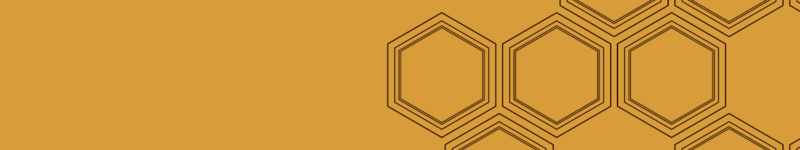 Fichier:HINF Warrior-Scholar nameplate.png