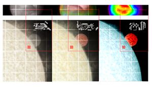 Iris Infestation.jpg