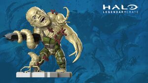 Halo Icons Series 2 Flood.jpg