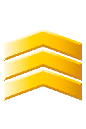 H3 Sergeant.png