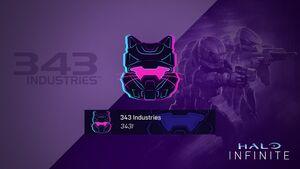 HINF-S4 Cybercat nameplate & emblem.jpg