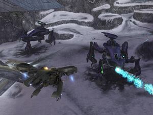 H3-Scarabs et Honet.jpg