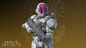 HINF-Zvezda armor set.jpg