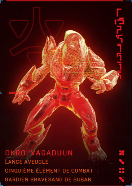 Fichier:HINF-Cible Okro 'Vagaduun.png