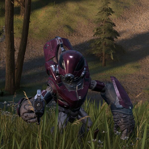 Fichier:HINF-Bipbap 01.jpg