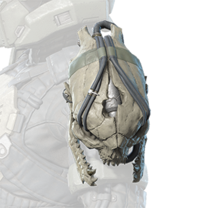 HINF S2 Skullbearer Trophy left shoulder.png