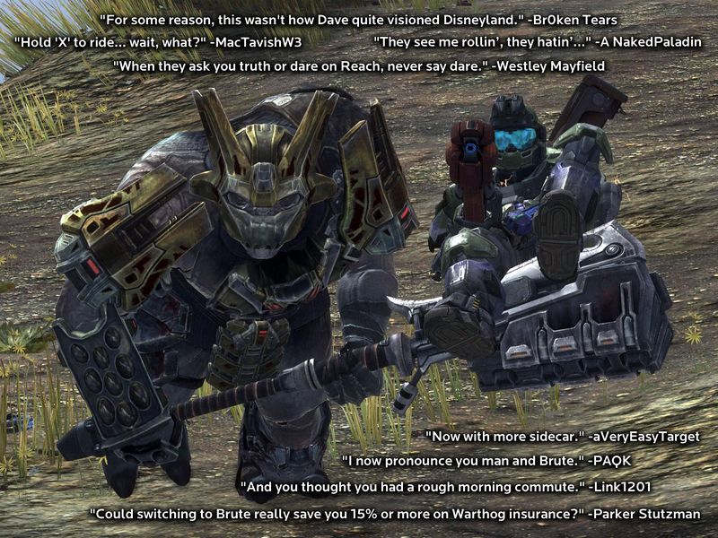 Fichier:HB 10-08-2011 Friday Caption Fun wallpaper.jpg