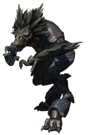 HR-Écorcheur mineur (render).png