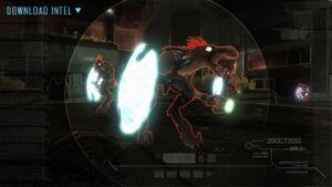 HODST-Jackal (B.net 02).jpg