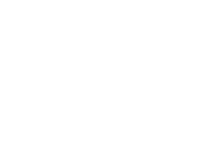 HINF S3 Illusion Protocol backdrop.png