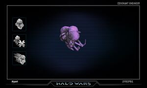 HW-Engineer (render & upgrades).jpg