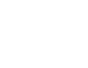 HINF S3 Year 2 NAVI Launch backdrop.png