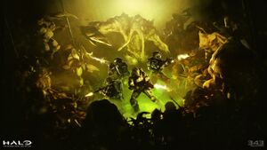 HODST MCC-FloodFight Key Art.jpg