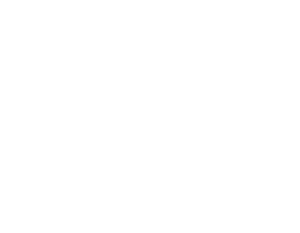 HINF S3 Detection Protocol backdrop.png