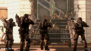 HODST MCC-FloodFight 06.jpg