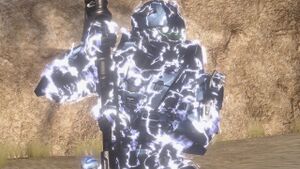 H3 MCC-Infection 01.jpg