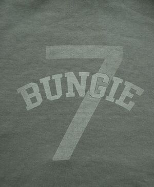 https://web.archive.org/web/20100106120925/http://www.bungiestore.com/Bungie-Cloth-Combat-Cowl-Adult/M/B002ZPWBLY.htm