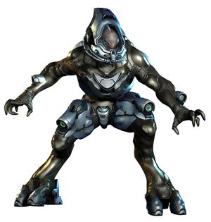 H4 Sangheili Ranger 02.jpg