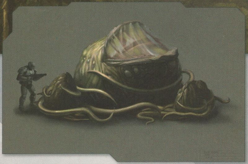 Fichier:POHW Flood Pod concept.jpg