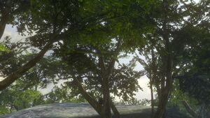 H3-Hommes des cavernes 1.jpg