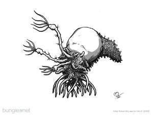 HCE Concept Parasite 3.jpg