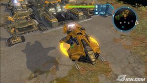 HW-Vautour jaune.jpg