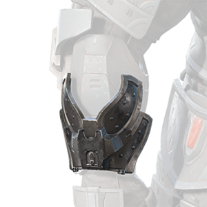 HINF Petal-Polished Wristguard wrist.png