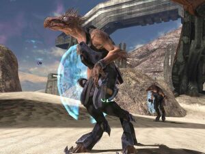 H3-Rapaces mineurs.jpg