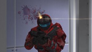 HR-SWAT headshot 01.jpg