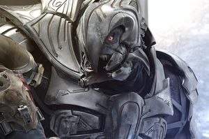 HW-Ripa 'Moramee.jpg