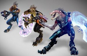 Jackal evolution (HCE, H3, H5).jpg