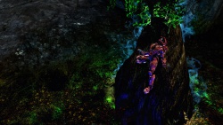 Rejuvenation by DRAXSONIA