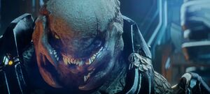 SOPS-Gek 'Lhar (dog tag).jpg