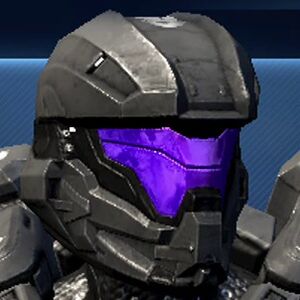 H4-Tracker visor.jpg