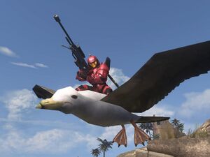 BWU H3 Moar birds.jpg