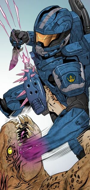 ESC22 Thorne contre Rapace.JPG