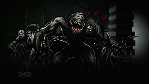 EVO-Flood forms 04.jpg