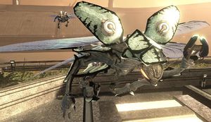 HODST-Drone minor.jpg