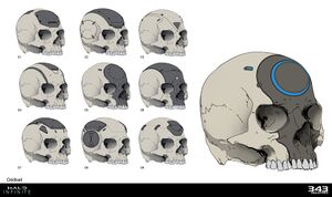 HINF-Oddball concept (Sam Brown).jpg