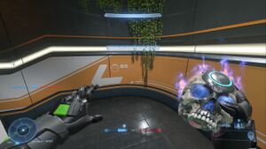 HINF-Oddball skull 1st person (MP Beta).jpg