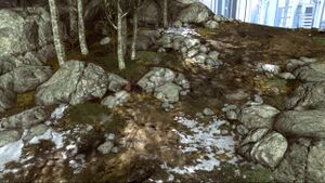 HR New Alexandria nature.jpg