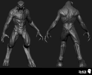 H2A-Arbiter 06 (Mathieu Aerni).jpg