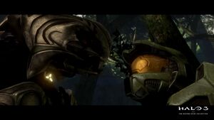 H3-MCC PC-Arrival 03.jpg